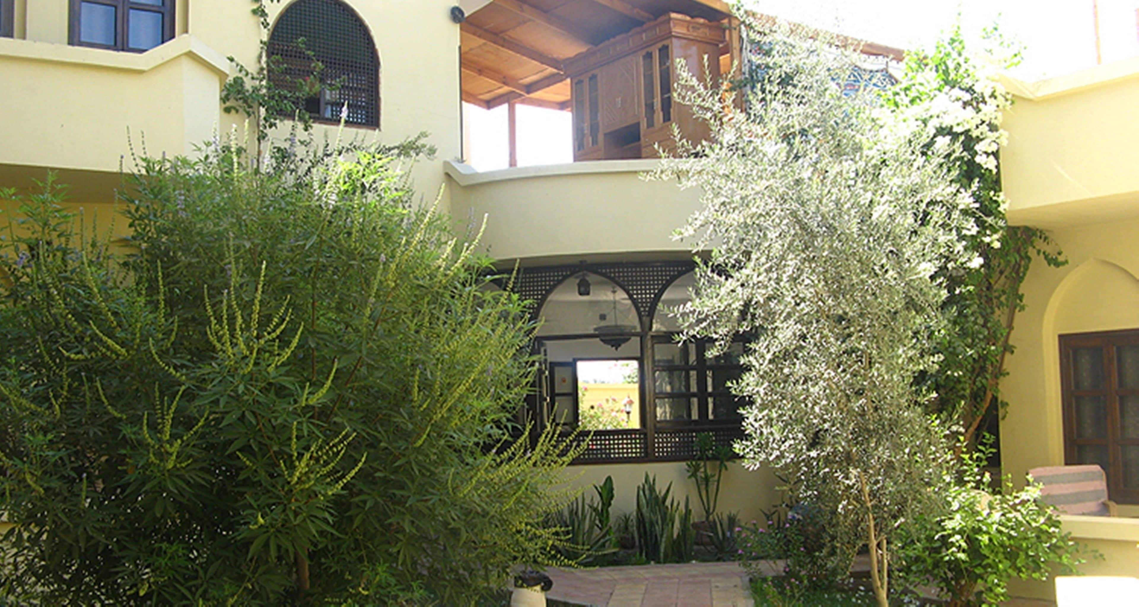 Foto - El Nakhil Hotel