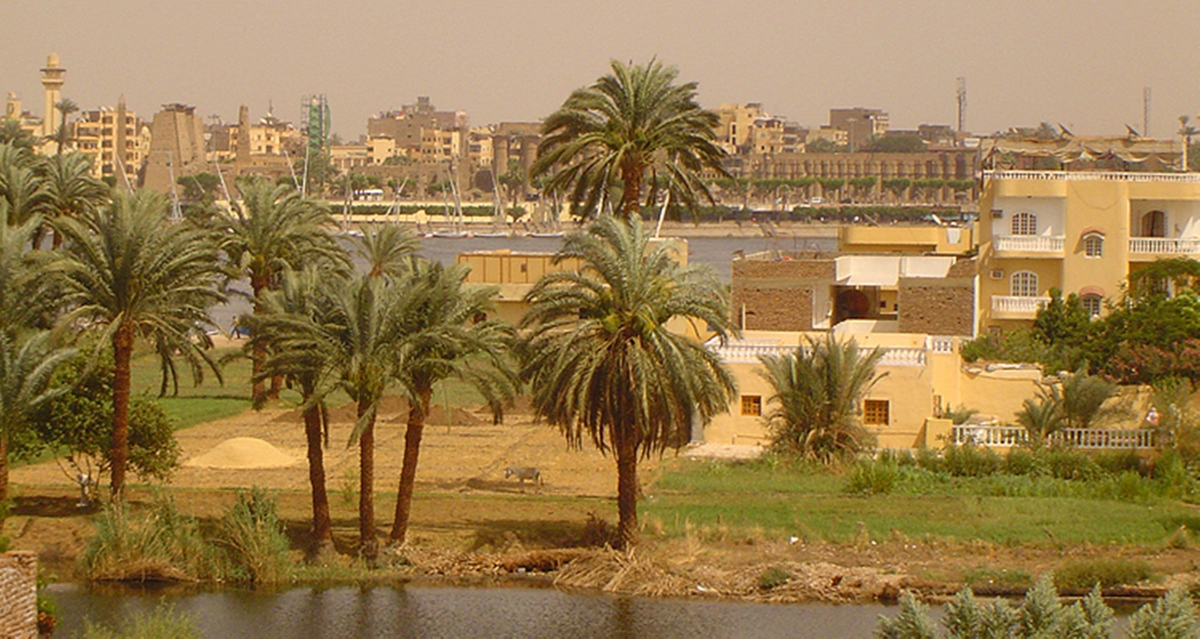 Foto - El Nakhil Hotel