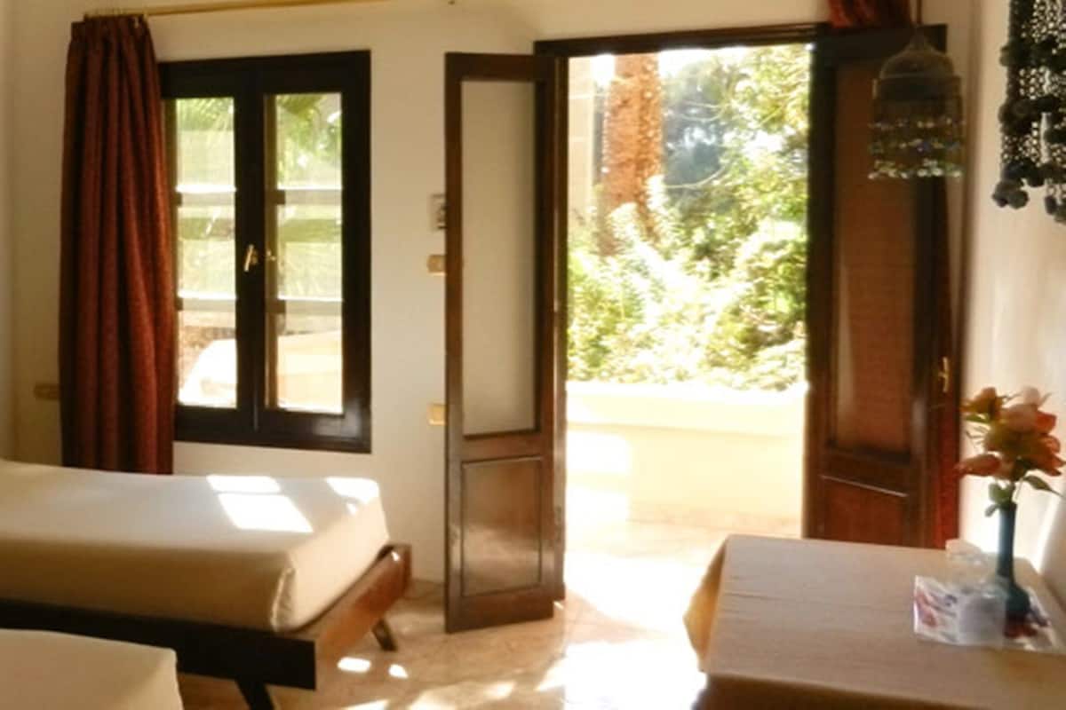 A room with two beds, a door leading outside, and a small table with a vase.