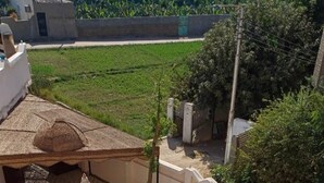 A pool area with lounge chairs and umbrellas, surrounded by a tiled patio and a view of a garden. - El Nakhil Hotel (Luxor)