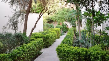 Vista al jardín