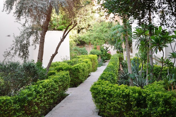 Garden view