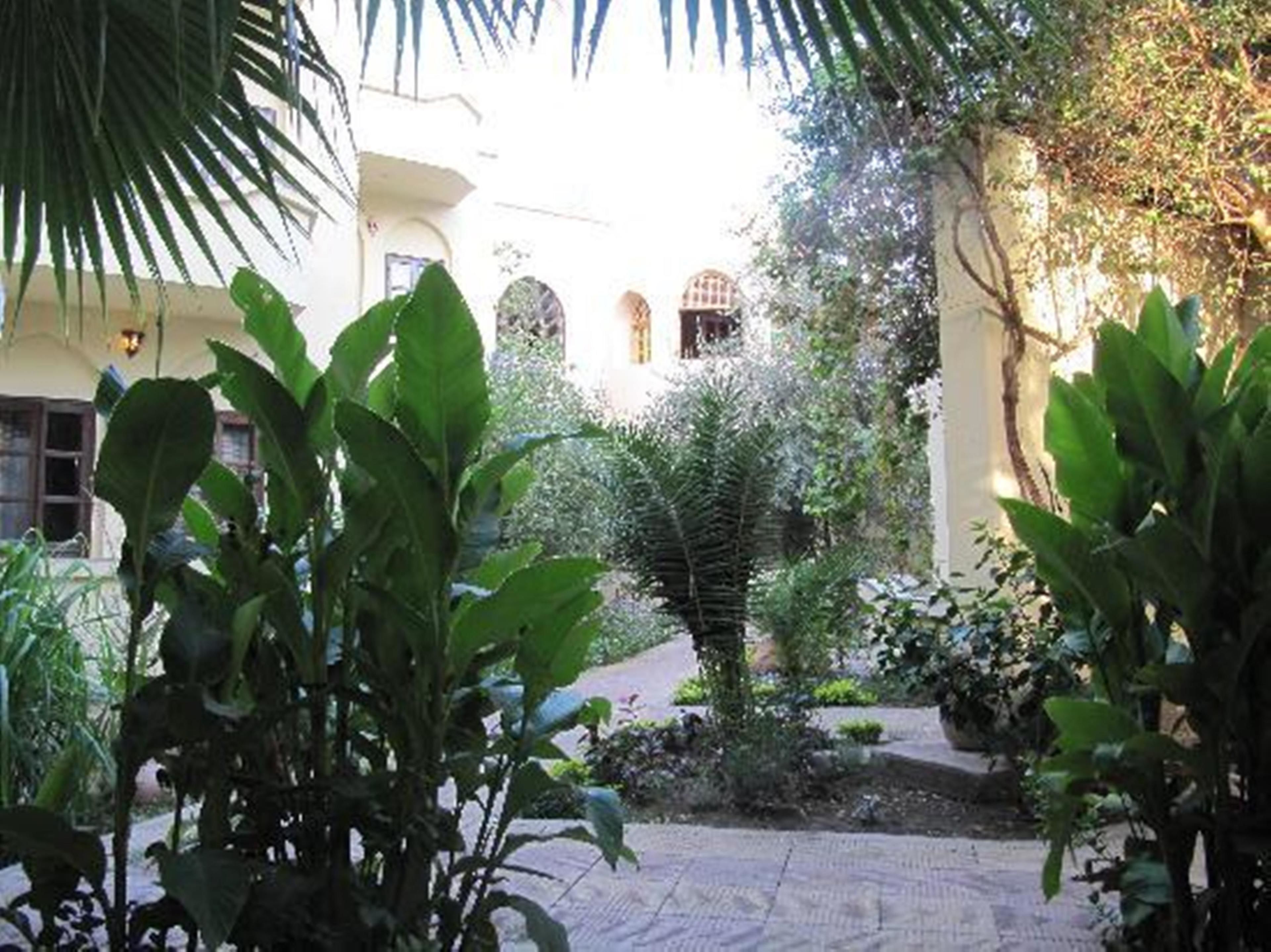 A courtyard with a paved walkway, surrounded by lush greenery and a building with arched windows.
