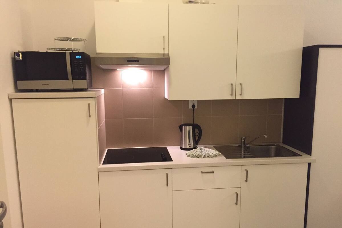 Coffee/tea maker, fridge, microwave, oven