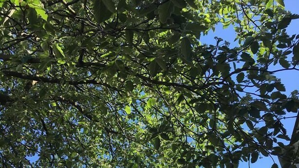 Comfort Apartment | Living area | Flat-screen TV - The Hague Short-Stay (The Hague)