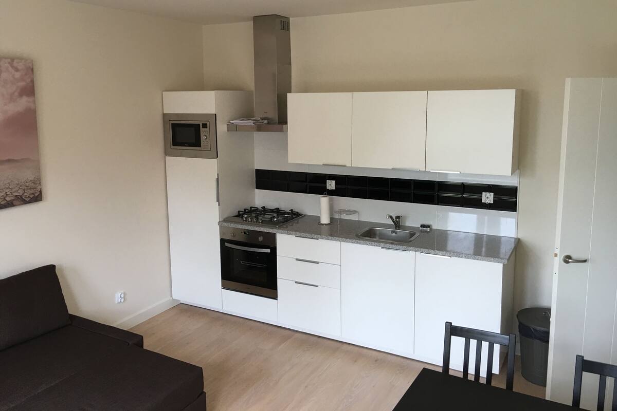 Comfort Apartment, 1 Bedroom | Private kitchen