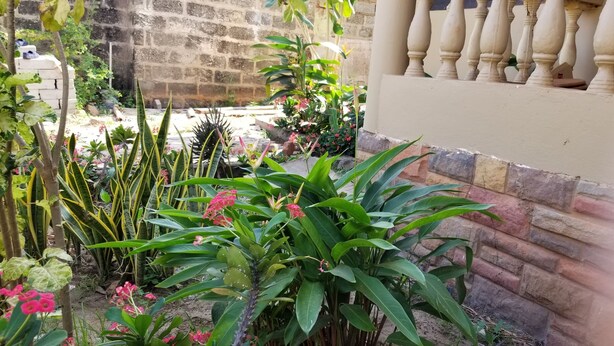 Un jardín con diversas plantas y flores, un muro de piedra y un balcón con barandilla.