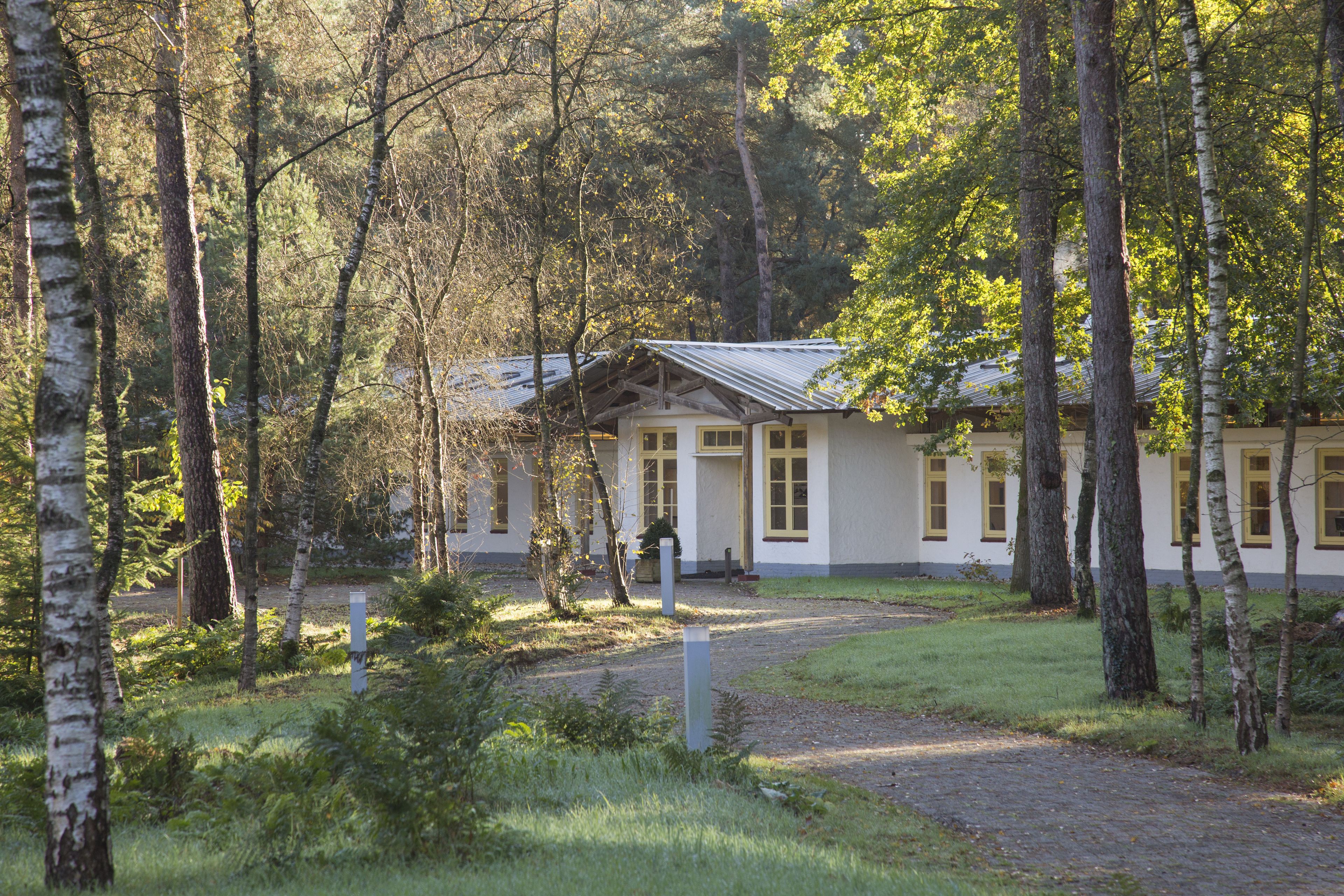A building with a white exterior and yellow trim, surrounded by a forested area with birch trees.