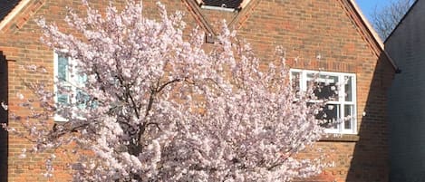 Majoituspaikan julkisivu