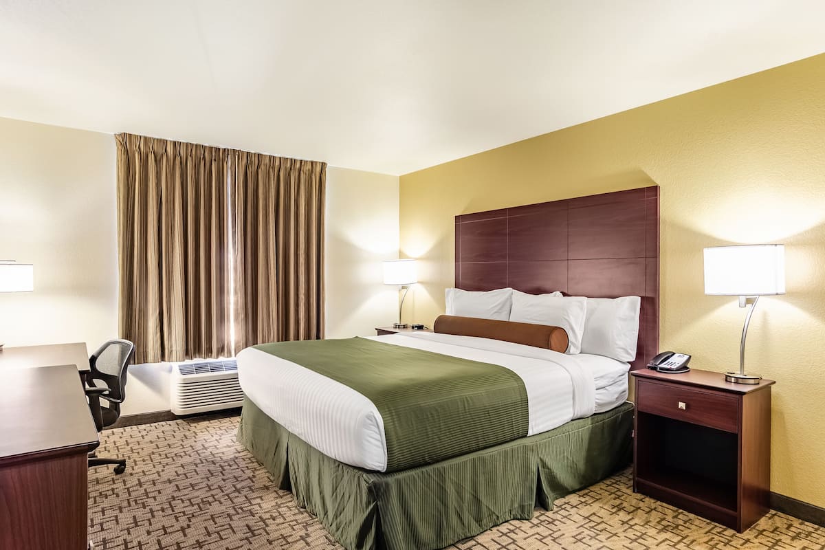 Room, 1 King Bed, Non Smoking
