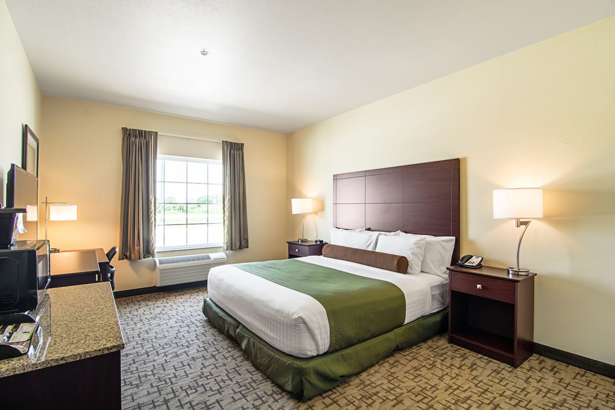 Room, 1 King Bed, Accessible, Non Smoking