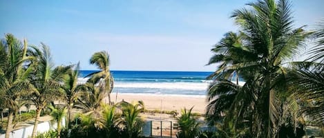 Una propiedad frente a la playa con vista al océano, palmeras y un camino que lleva a la playa.