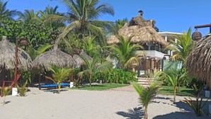 A resort with thatched-roof structures, palm trees, and a sandy beach area. - Hotel Quinta Diamante - Barra vieja  (Acapulco)