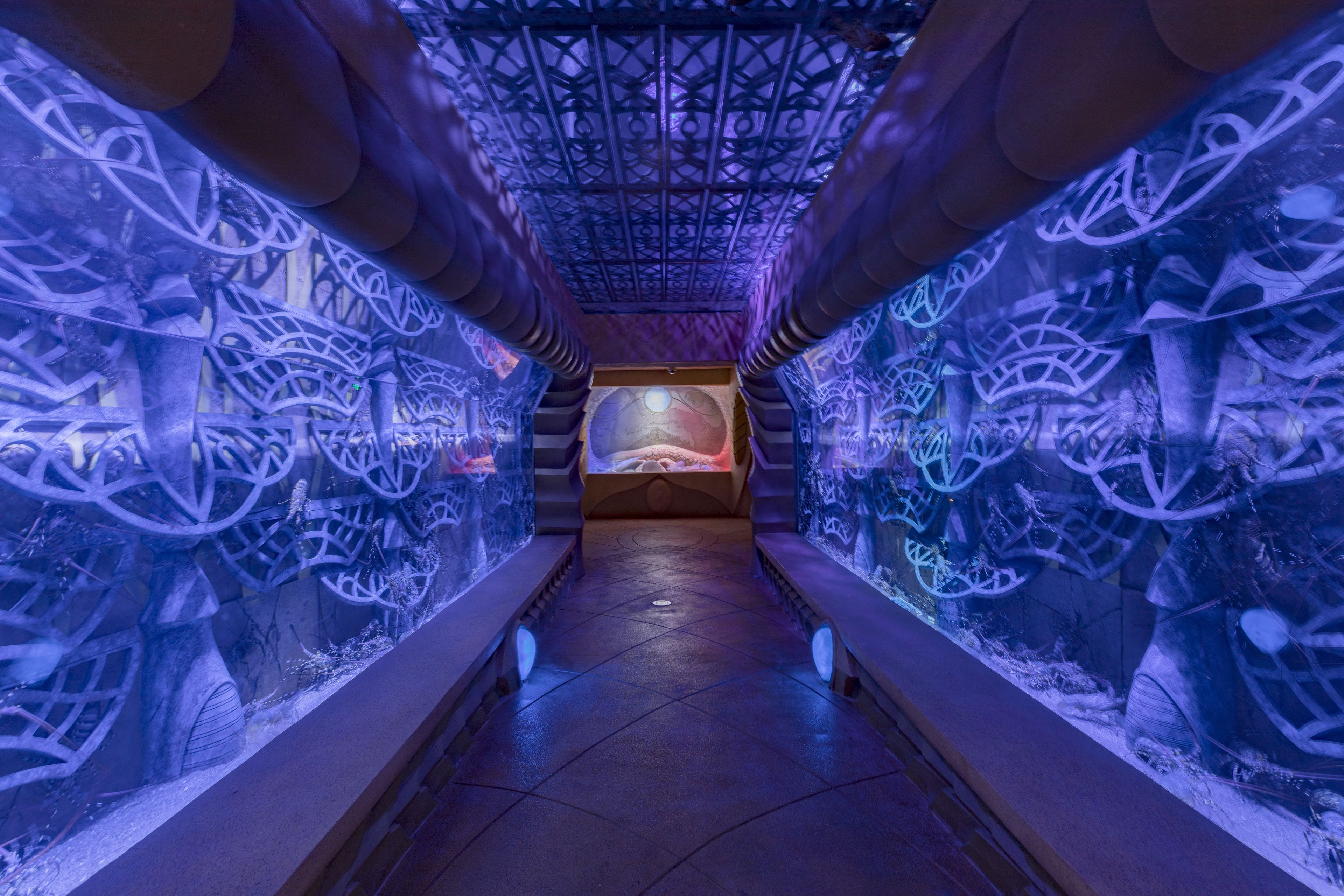 A corridor with a patterned ceiling and walls, leading to a bed area.