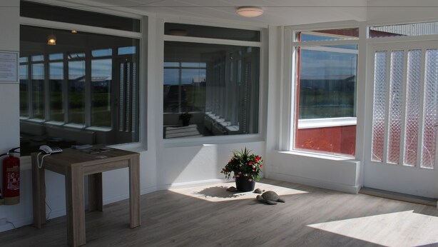 A room with large windows, a wooden table, a potted plant, and a fire extinguisher.
