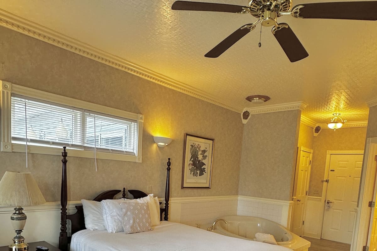 A bedroom with a bed, nightstand, lamp, and a ceiling fan.