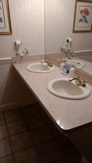 Suite familiar, 1 habitación, refrigerador y microondas, vista al lago | Baño | Regadera, amenidades de baño gratuitas, secadora de cabello, toallas 