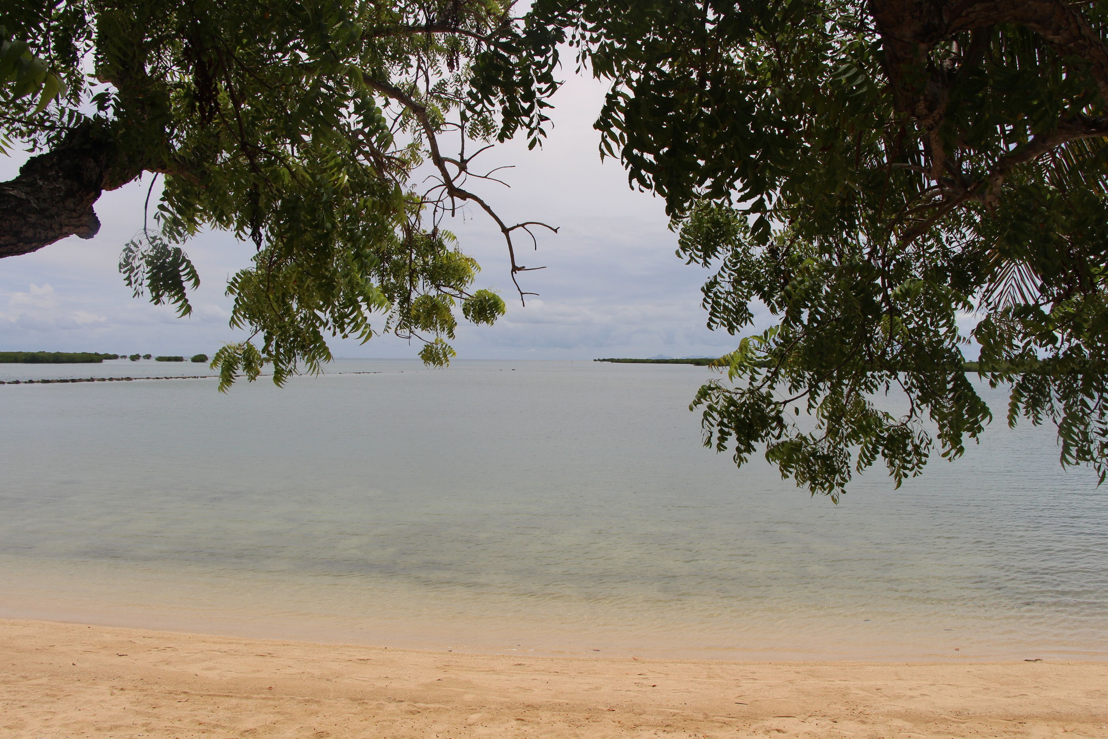 A beach with clear water and a sandy shore, surrounded by trees.
