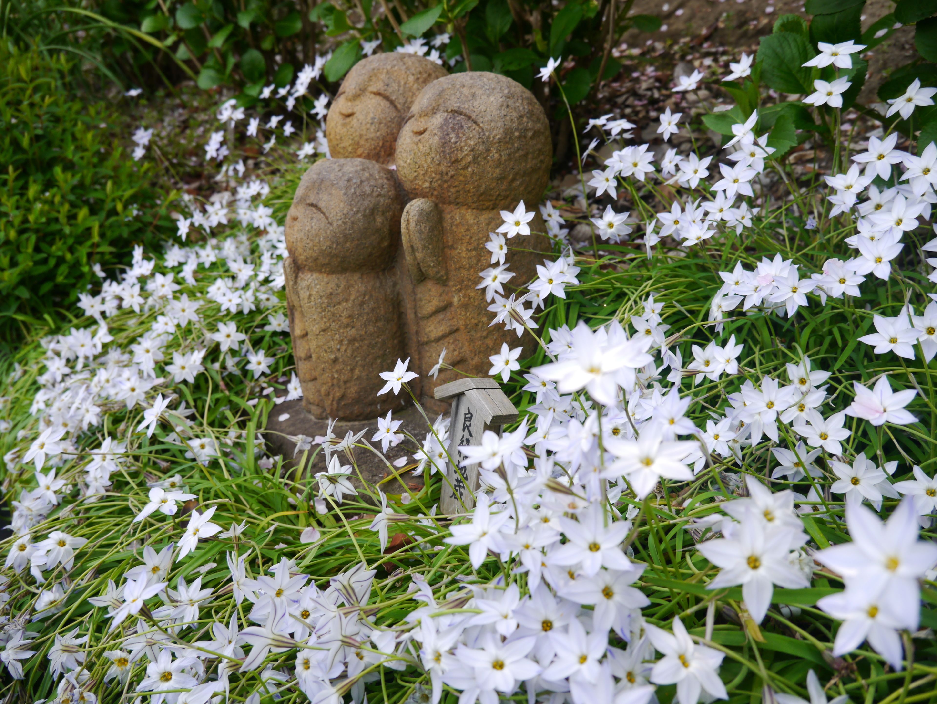 Un jardín con una escultura de piedra que representa a una familia, rodeado de flores blancas.