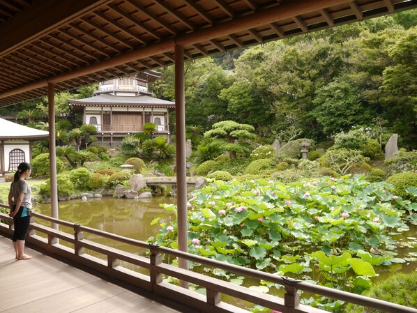 En traditionel japansk have med en træbro, en dam med lotusblomster og en bygning med et tagdækket tag.