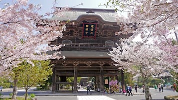 Un edificio japonés tradicional con un porche cubierto, rodeado de cerezos en flor.