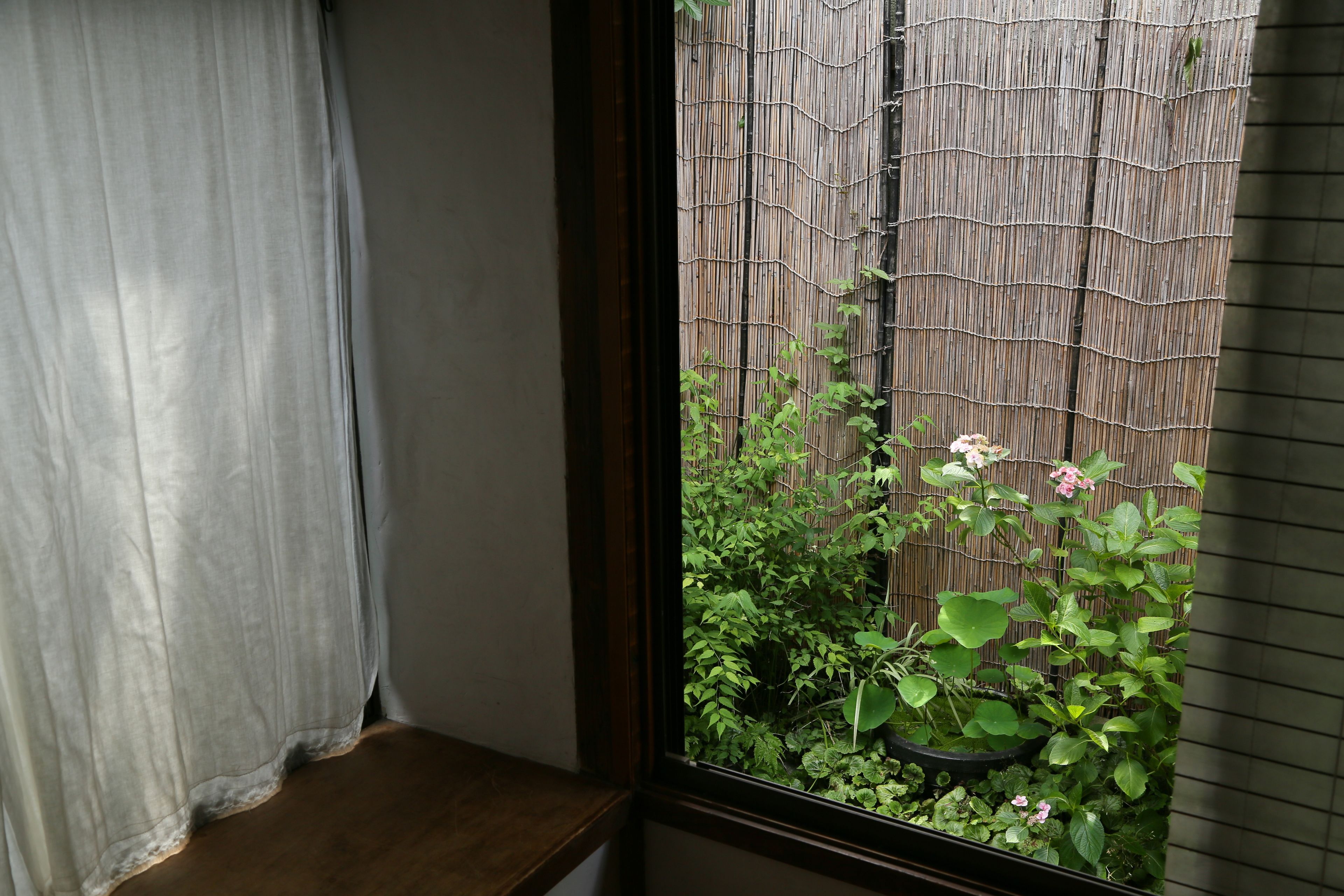 Kamar Twin Tradisional (Japanese Style) | Pemandangan dari kamar