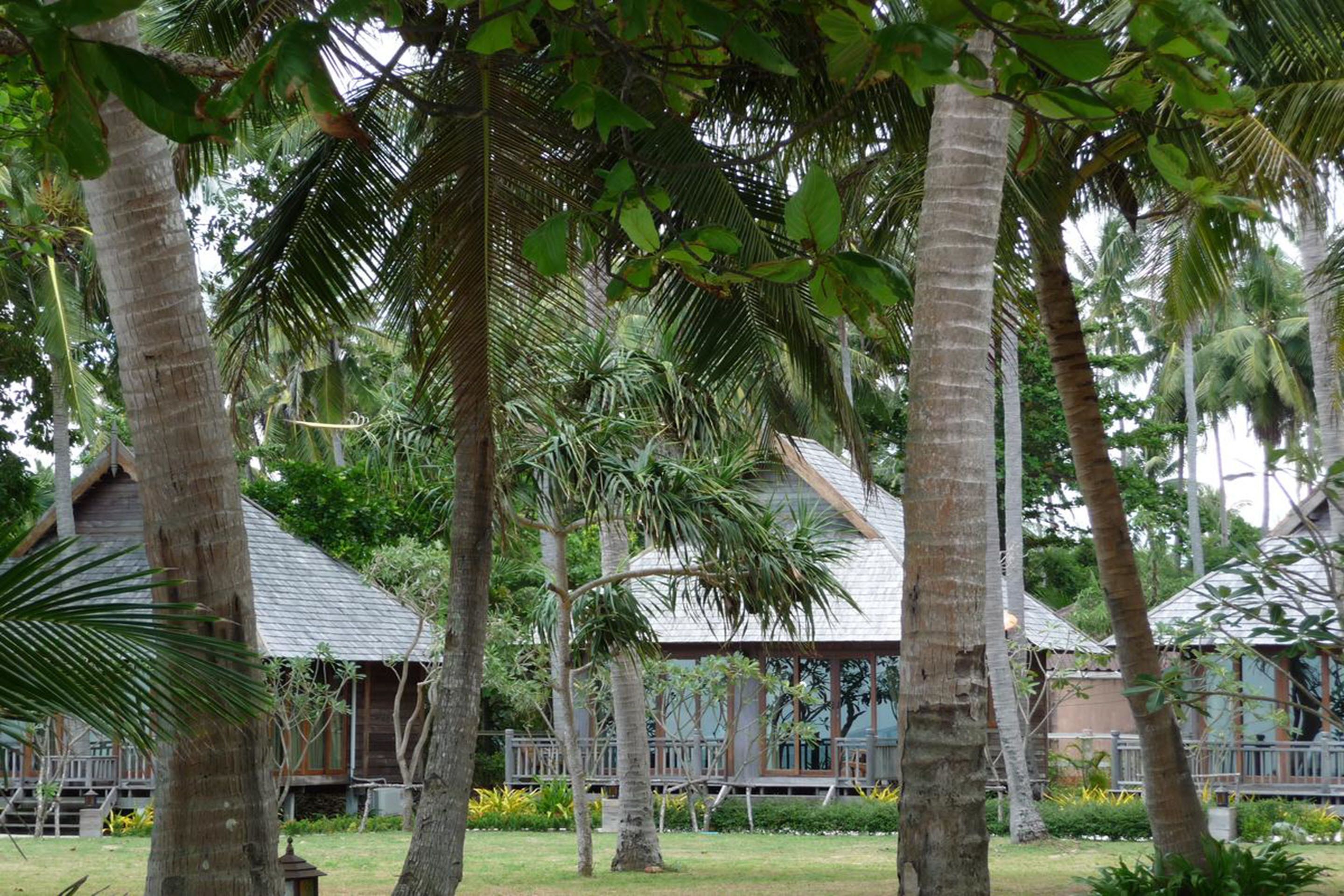 A tropical resort with multiple wooden buildings, palm trees, and a well-maintained lawn.