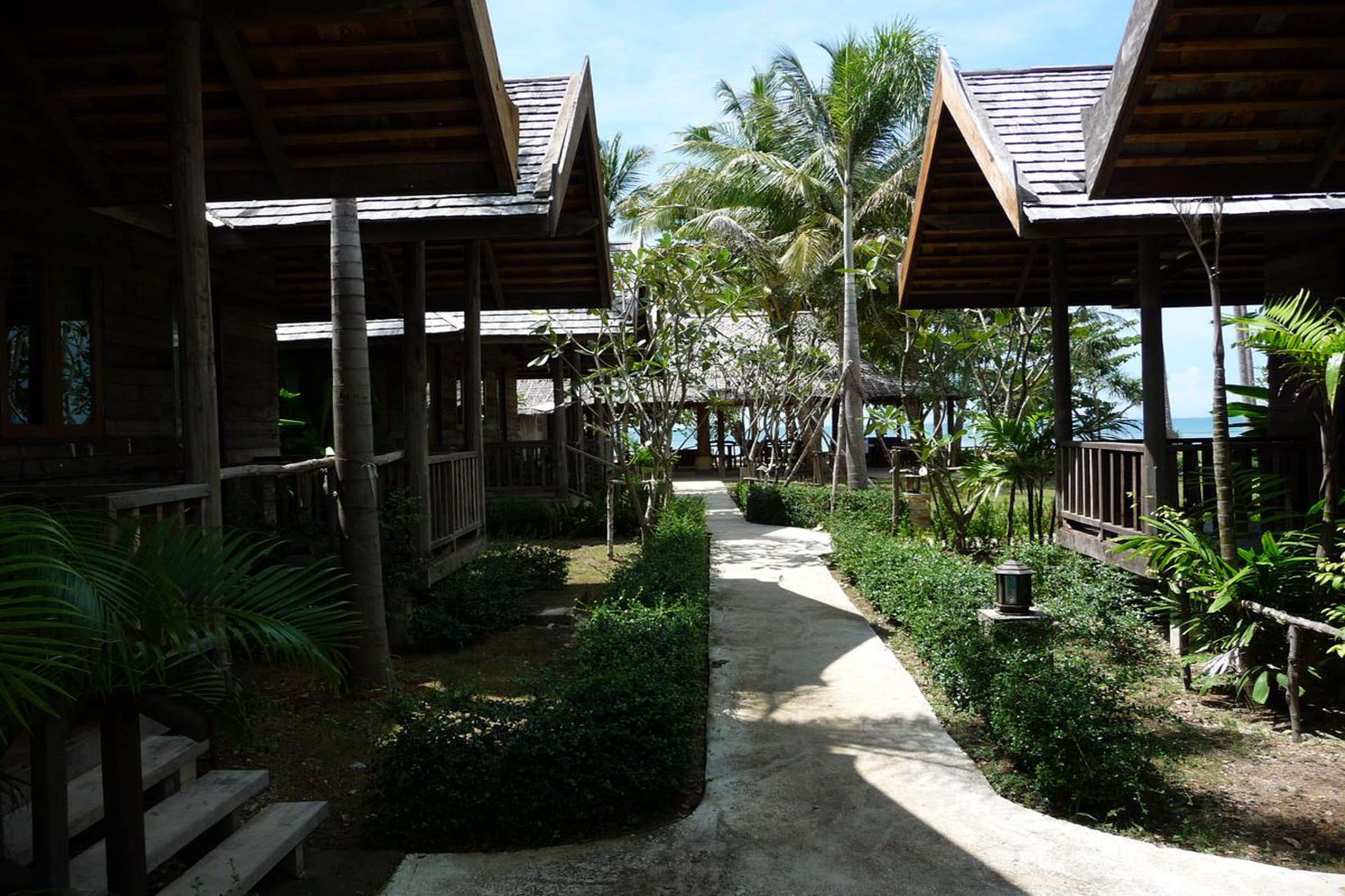 A pathway leading to wooden structures with thatched roofs, surrounded by lush greenery and palm trees.