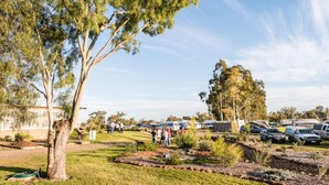 A campsite with tents and caravans, grassy areas, and trees. - The Woolshed at Jondaryan - Campsite (Jondaryan)