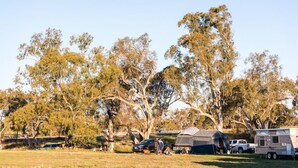 A campsite with tents, a car, and a trailer. - The Woolshed at Jondaryan - Campsite (Jondaryan)