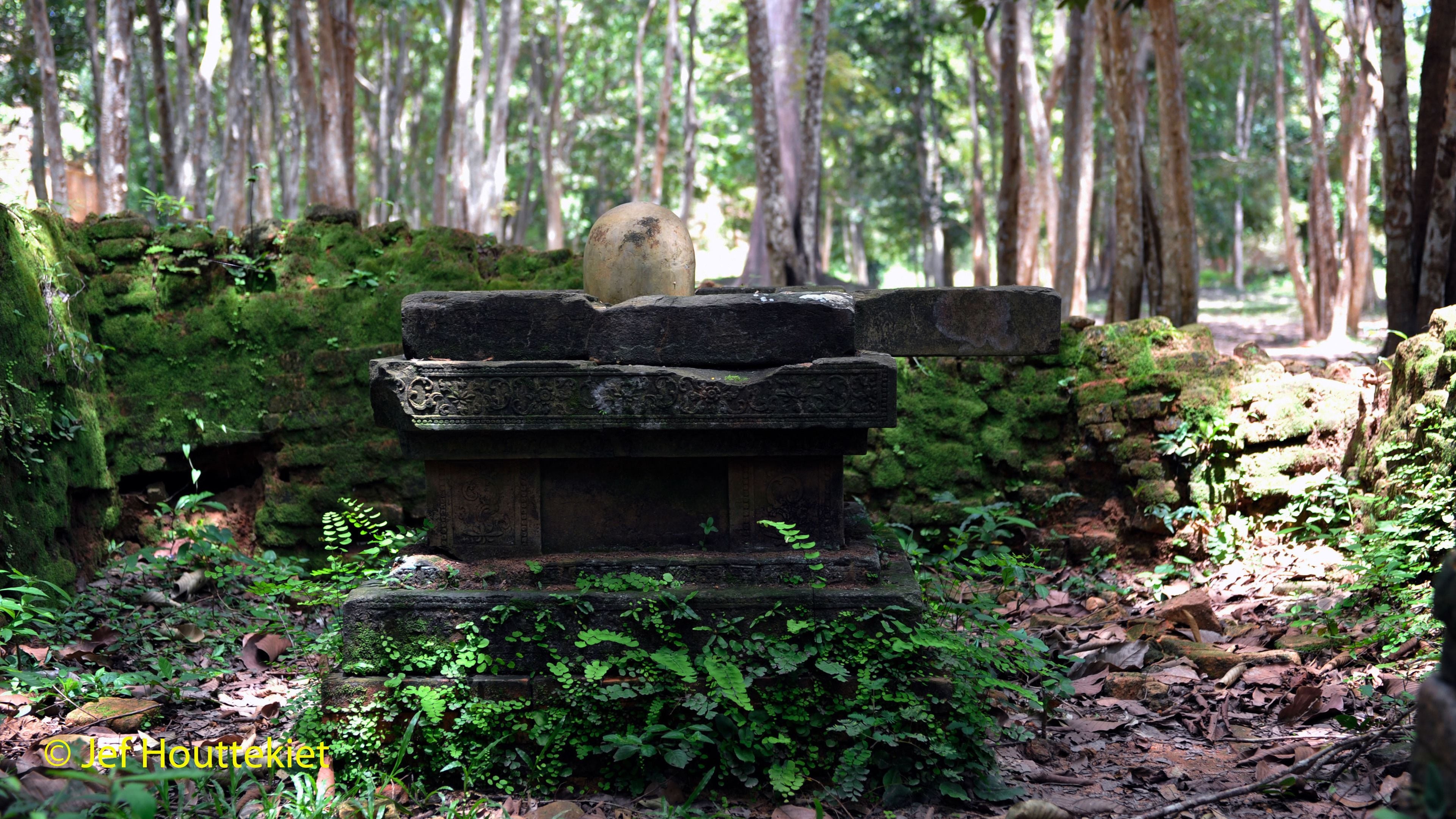 A stone structure in a forested area with moss-covered walls and a flat-topped platform.