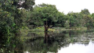Tasik