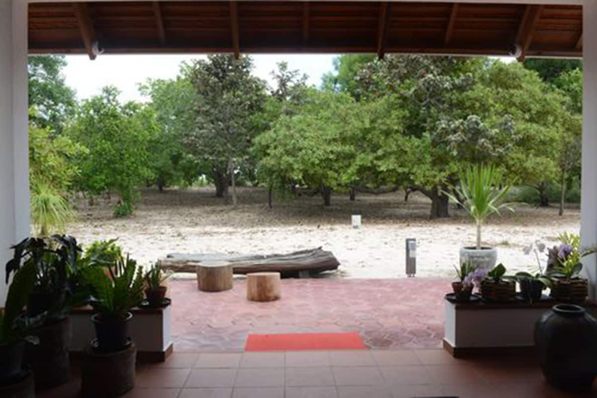 Un espacio al aire libre cubierto con vista a un jardín y árboles.
