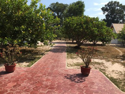 Dracaena Resort