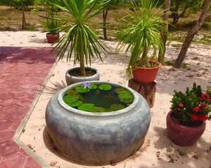 Modern House (no hot water) | Terrace/patio
