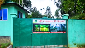 A gated entrance to a property named "Green Palace Tea Resort" with a signboard displaying the name and a small image of the building. - Green Palace Tea Resort (Kamalganj)
