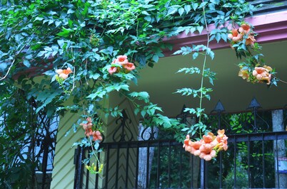 拉瓦查拉生态小屋旅馆