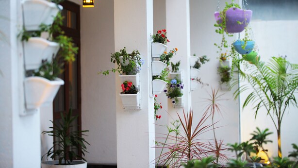 Jardin