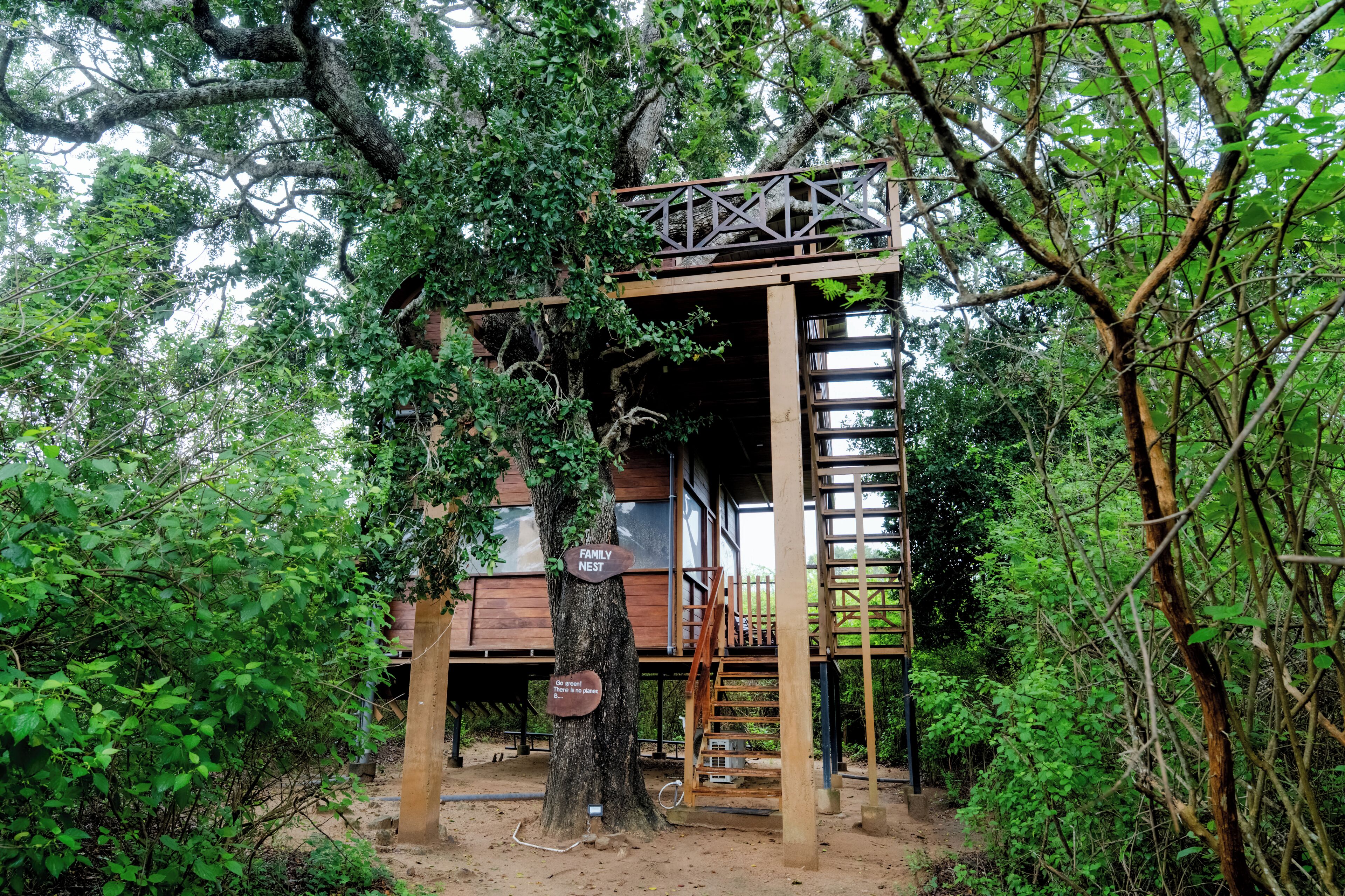A treehouse with a wooden staircase and a metal bridge leading to a platform.