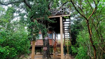 A treehouse with a wooden staircase and a metal bridge leading to a platform.