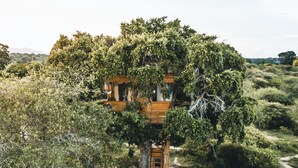 Une cabane perchée dans un arbre, accessible par un escalier en bois, et entourée d’une végétation luxuriante.