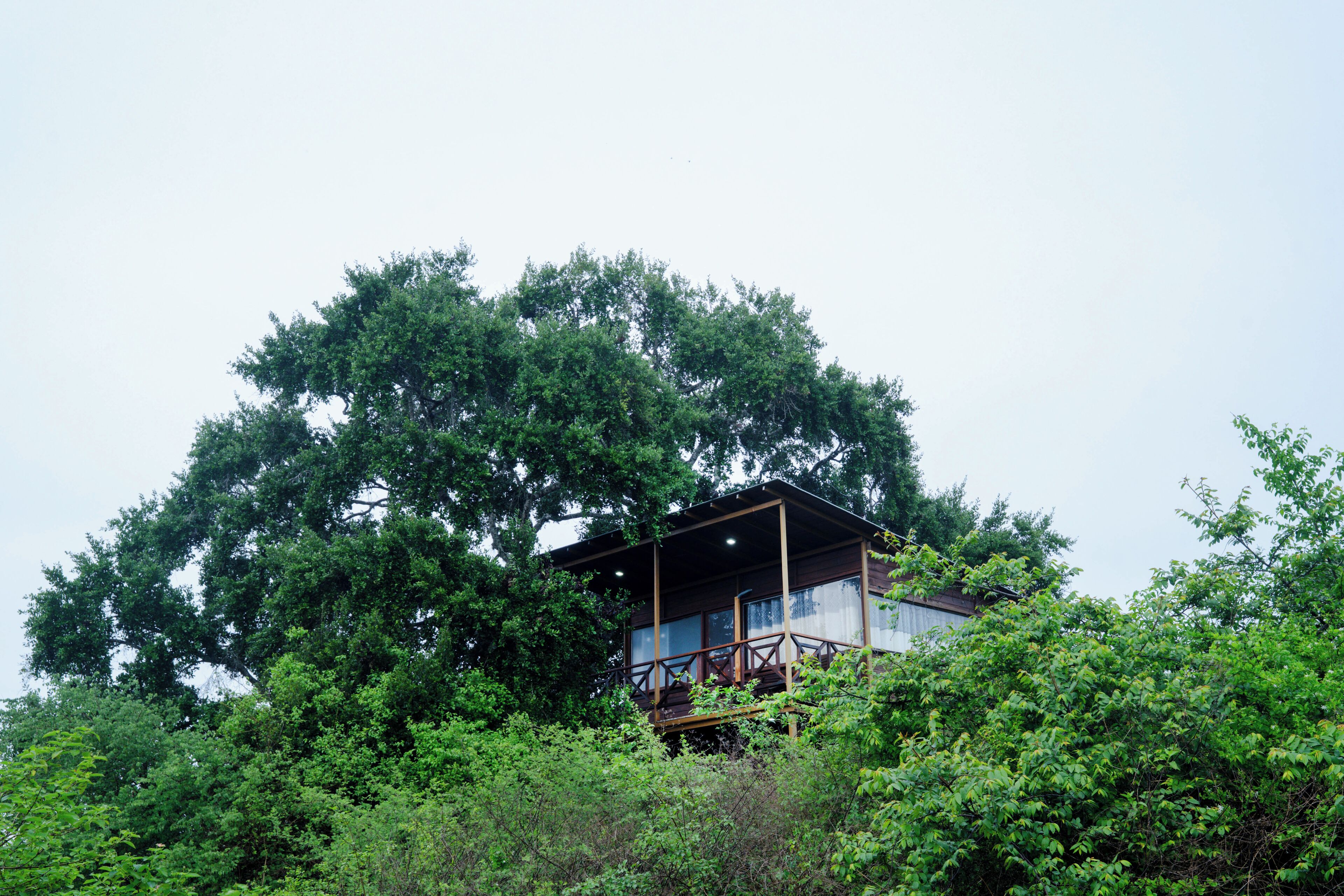 Phòng