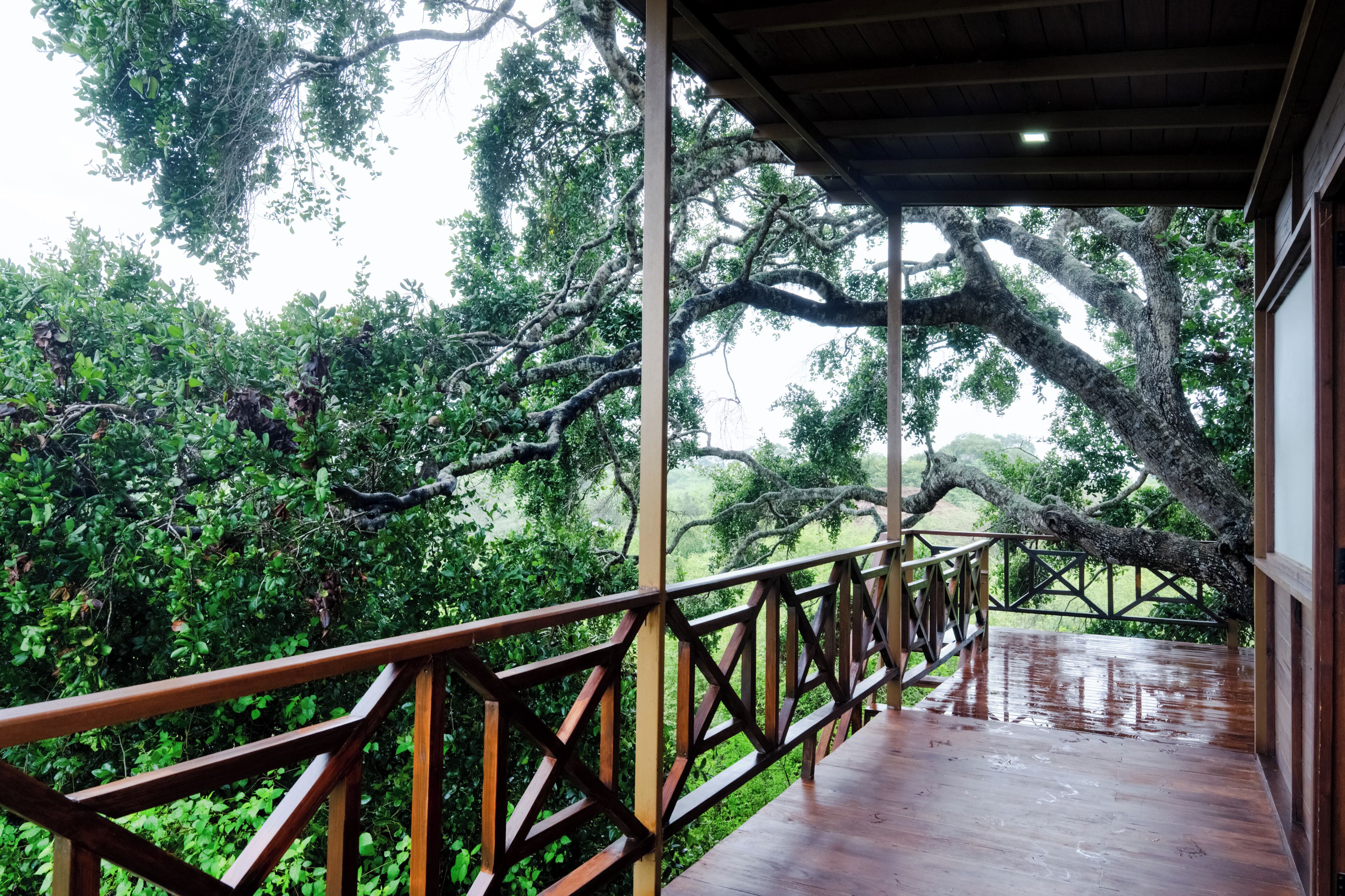 Family Nest | Terrace/patio