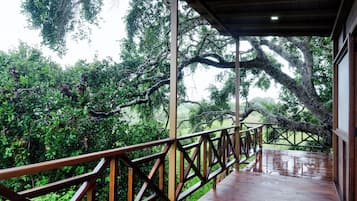 Family Nest | Terraza o patio