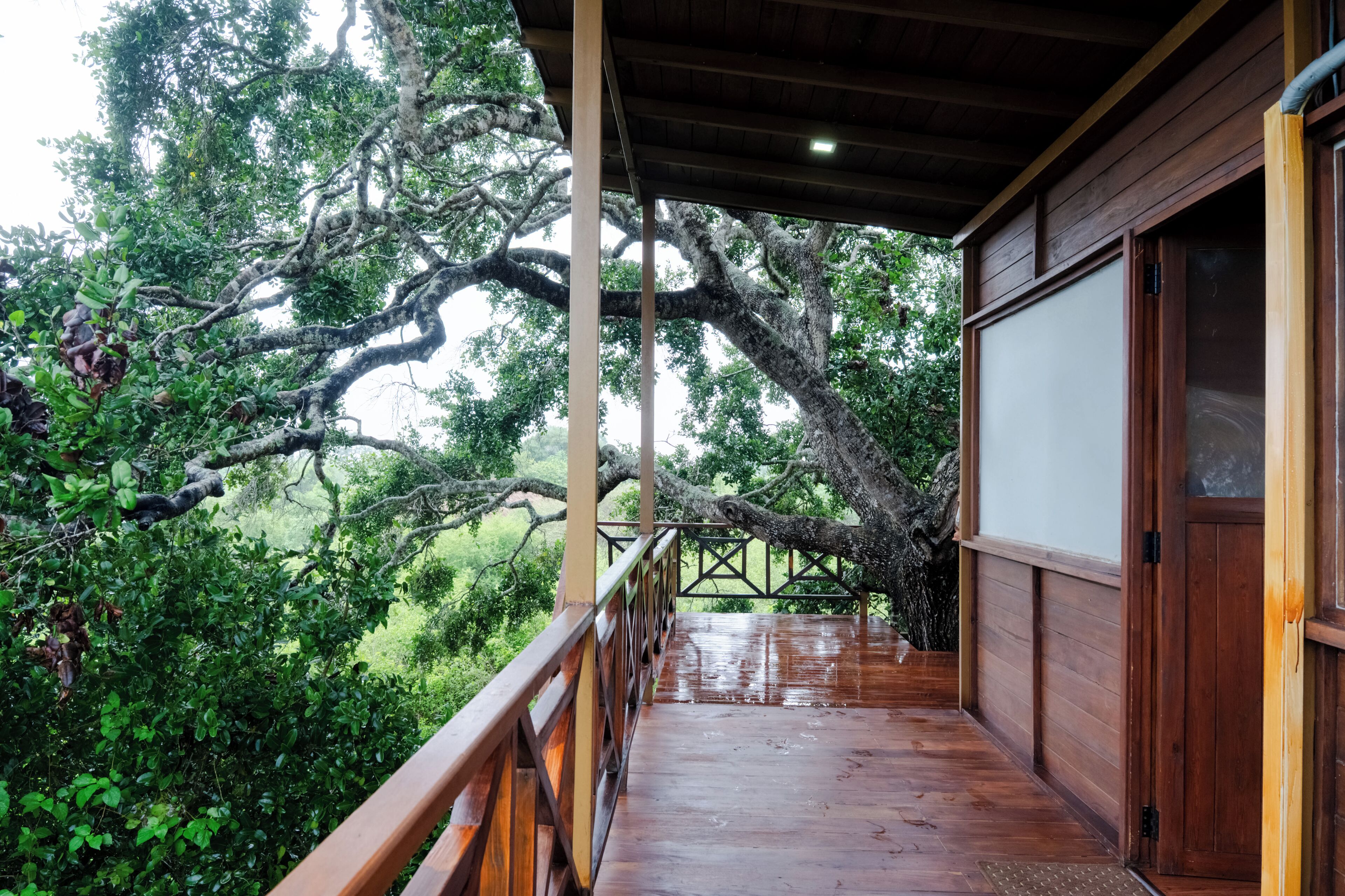 Family Nest | 1 bedroom, bed sheets