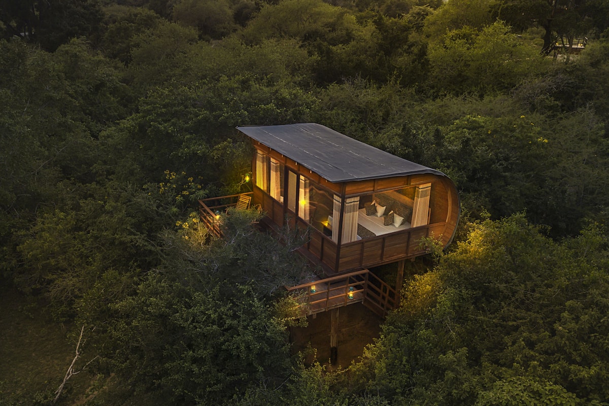 Tree House Luxe, 1 très grand lit, vue parc | Façade de l’hébergement