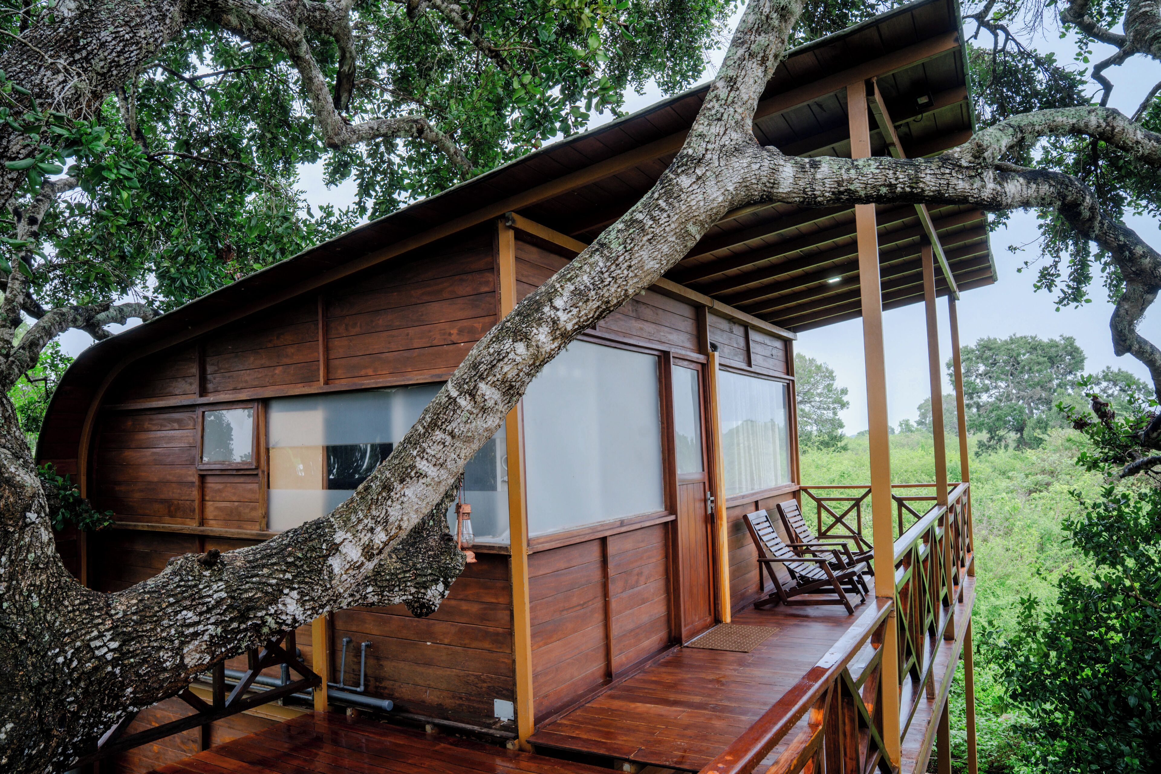 A wooden cabin with a balcony, surrounded by trees.