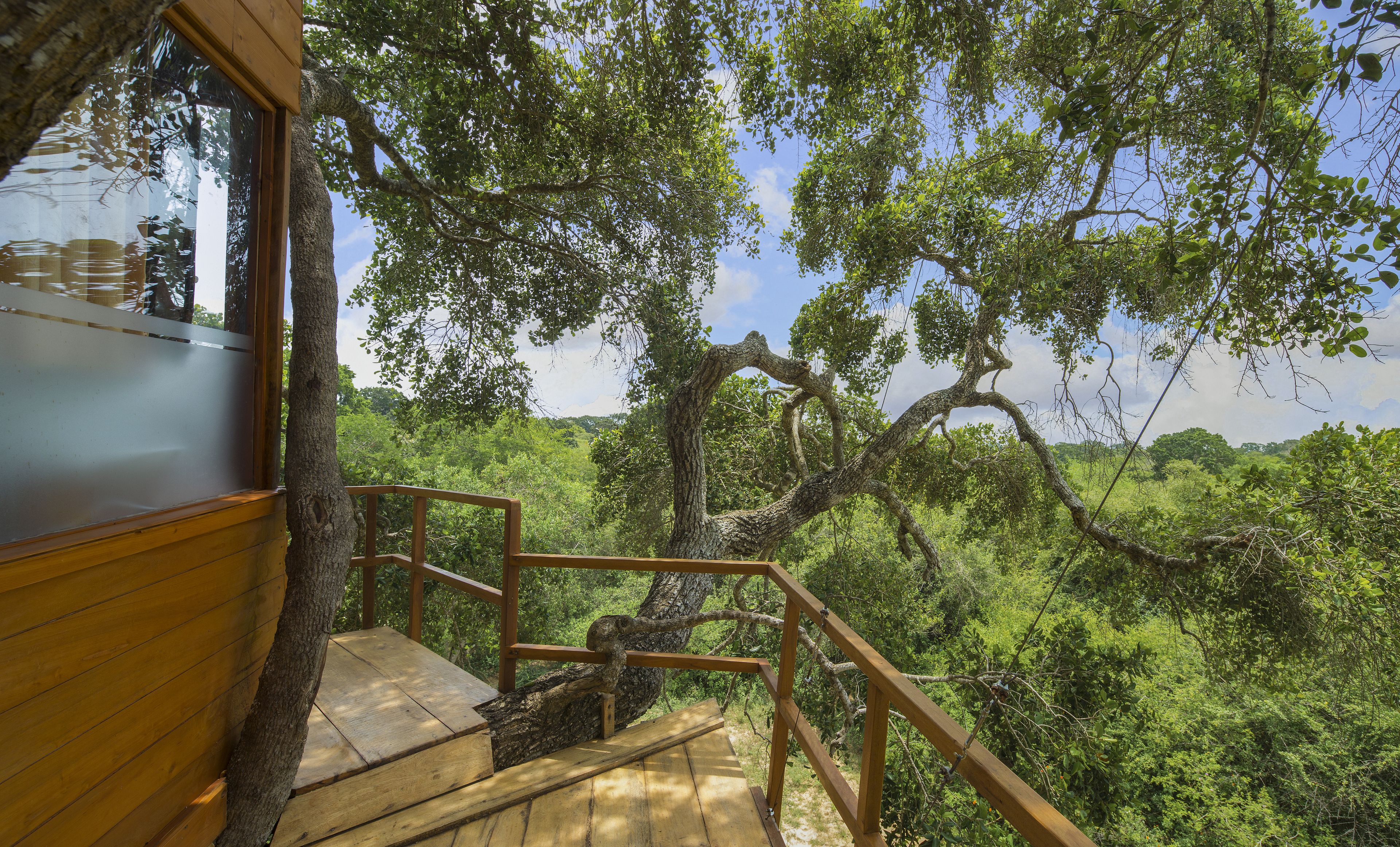 Queen Tree Nest | Terras
