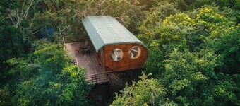 Leopard Nest in Yala