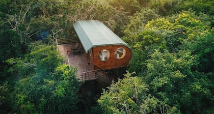 Leopard Nest in Yala